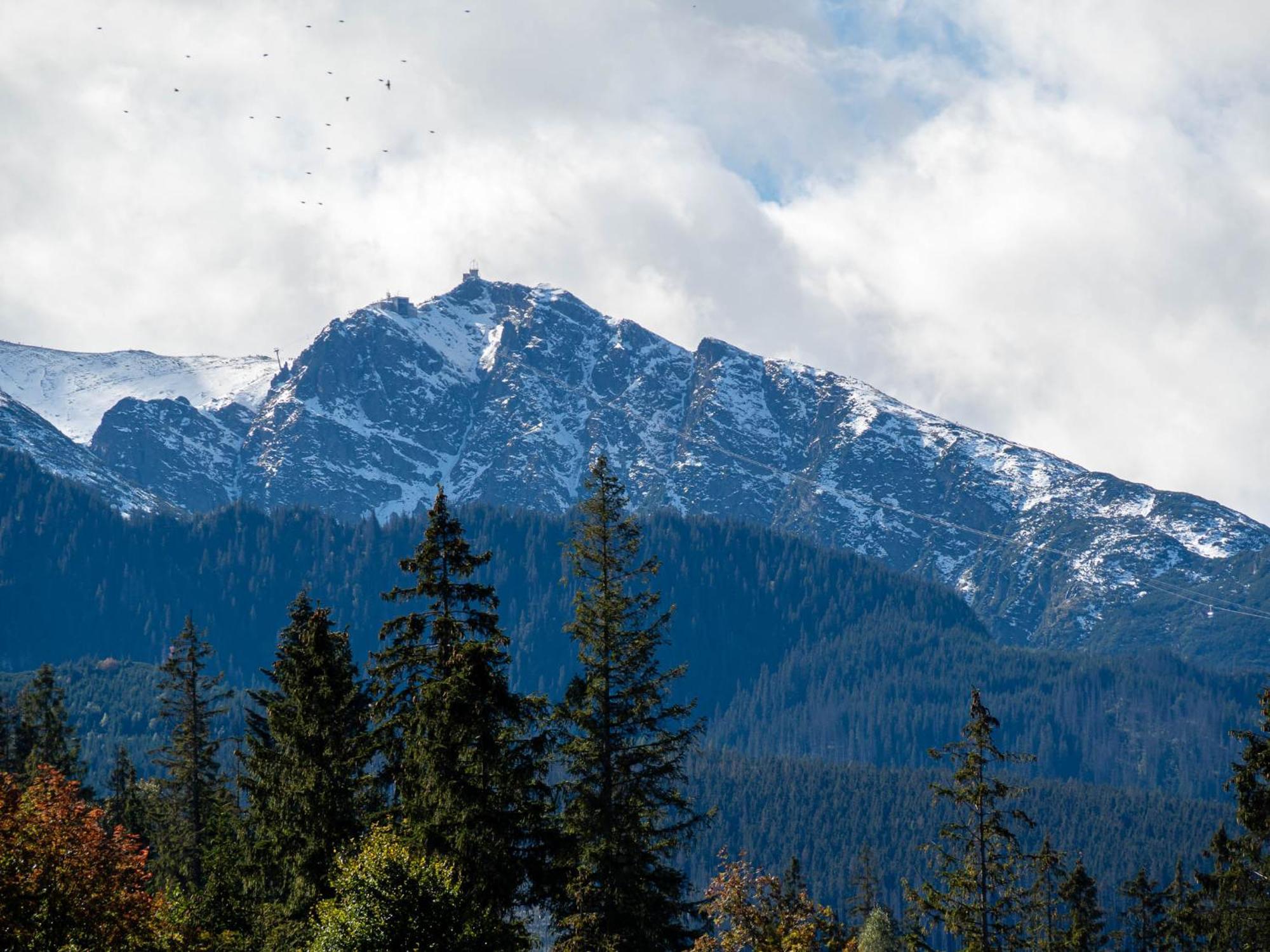 Apartamenty Hrube Nizne 23D Zakopane Exteriör bild